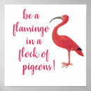 Search for flamingo quotes posters Inspirational
