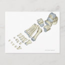 Search for foot doctor posters People