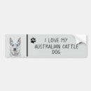 Search for queensland bumper stickers Blue heeler