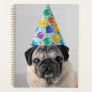 Search for party planners Birthday