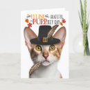 Search for funny cat thanksgiving cards Cats