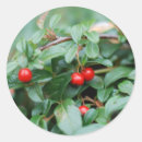 Search for ecological stickers Botanical