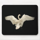 Search for swans electronics Wings