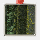 Search for bark christmas tree decorations Nature