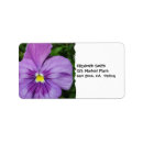 Search for purple pansy return address labels Garden