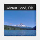 Search for hooded magnets Refrigerator