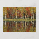 Search for fall foliage postcards Red