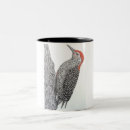 Search for red belly mugs Woodpeckers