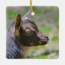 Search for baby goat christmas tree decorations Country