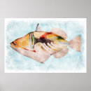 Search for triggerfish posters Reef