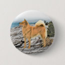 Search for spitz badges Dog