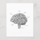 Search for psychologist flyers Psychology