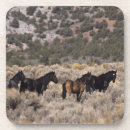 Search for bob coasters Horse