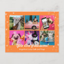 Search for oranges postcards Sweet