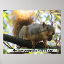 Search for funny nuts posters Cute