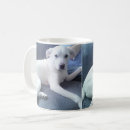 Search for devoted mugs Funny