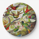 Search for hummingbird plates Kunstformen der natur