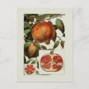 Search for pomegranate cards invites Floral
