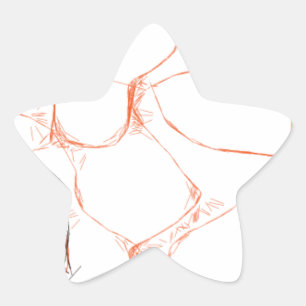 00010 abstract art star sticker