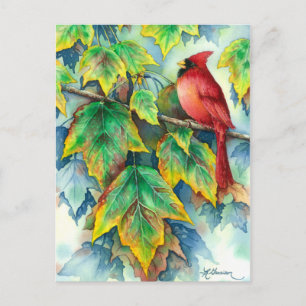 0004 Cardinal Postcard