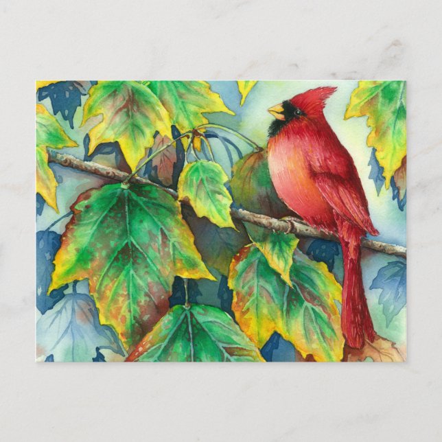 0004 CardinalPostcard Postcard (Front)