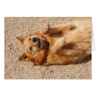 0006Copper belly rub