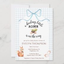 001 Sky Squirrel Acorn Gingham Bow Baby Shower