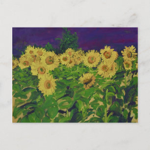 0067-le champ des tournesols postcard