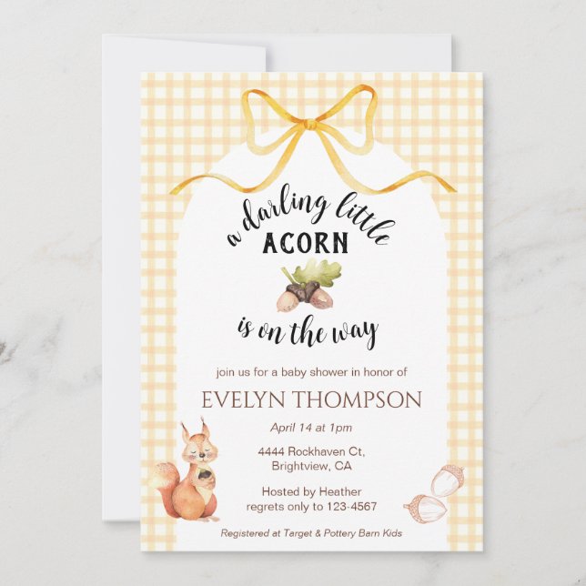 010 Amber Cute Squirrel Acorn Gingham Baby Shower Invitation (Front)