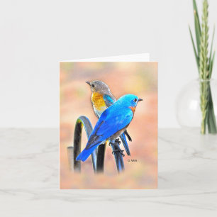 010 Bluebird Love Note Card 4.25x5.5 Matte