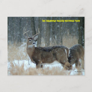 011110-40-APC POSTCARD
