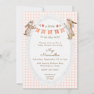 011 Terracotta Sweet Bunny Gingham Baby Shower Invitation