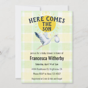 017 Moss Gingham Plaid Stork Boho Baby Shower Invitation