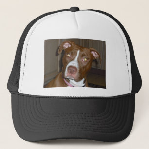019 (1) perfect puppy pic of Brandy Trucker Hat