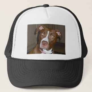019 (1) perfect puppy pic of Brandy Trucker Hat