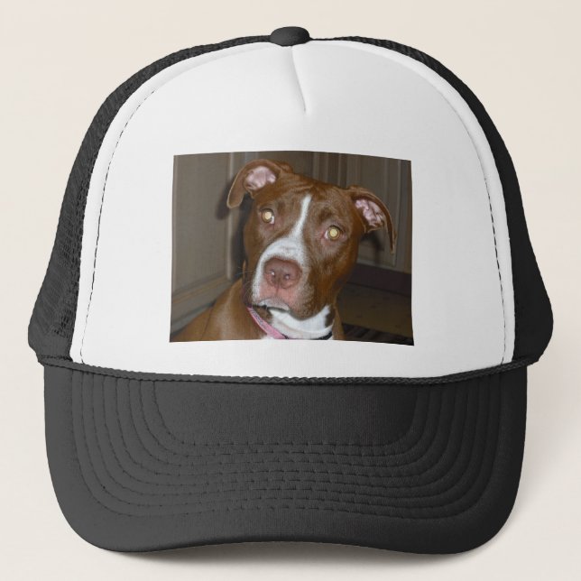 019 (1) perfect puppy pic of Brandy Trucker Hat (Front)
