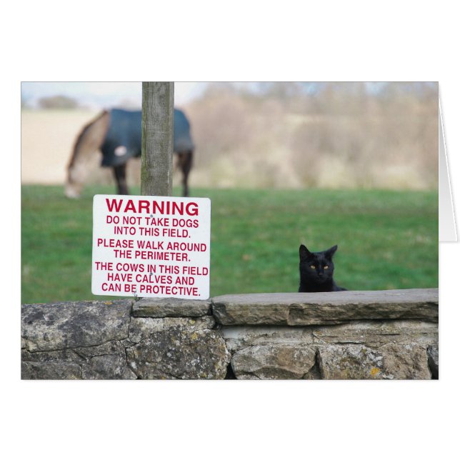 020409DogsFarm260 (Front Horizontal)