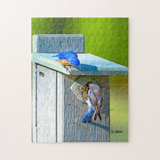020 Bluebird Nesting 11x14 Puzzle 252 Pieces