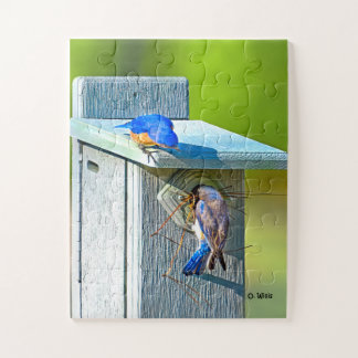 020 Bluebird Nesting Puzzle 11x14 Kids