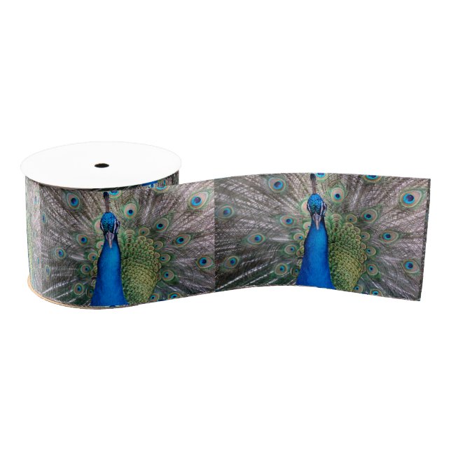 020 Peacock Ribbon Grosgrain Ribbon (Spool)