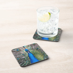 024 - Peacock Set - Coasters