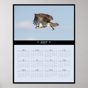 027 Osprey Wall Calendar - Fishing Raptors Poster