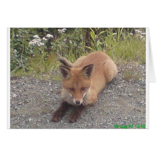 033.JPG (Front Horizontal)