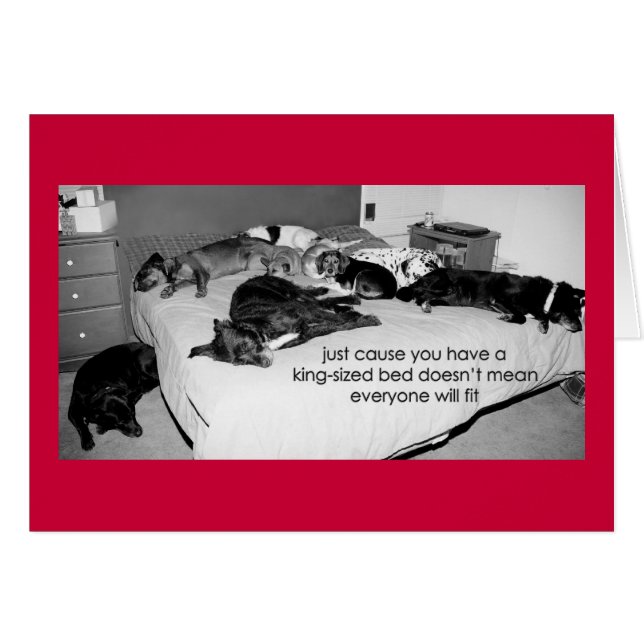 03 just cause (Front Horizontal)