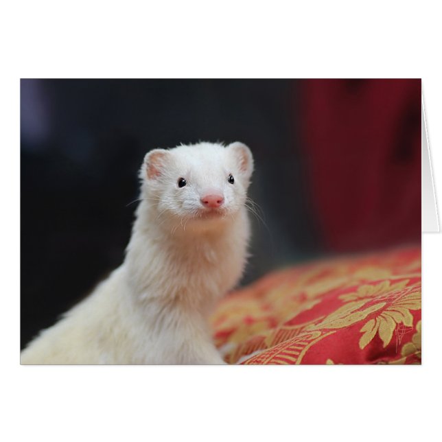 040 (Front Horizontal)