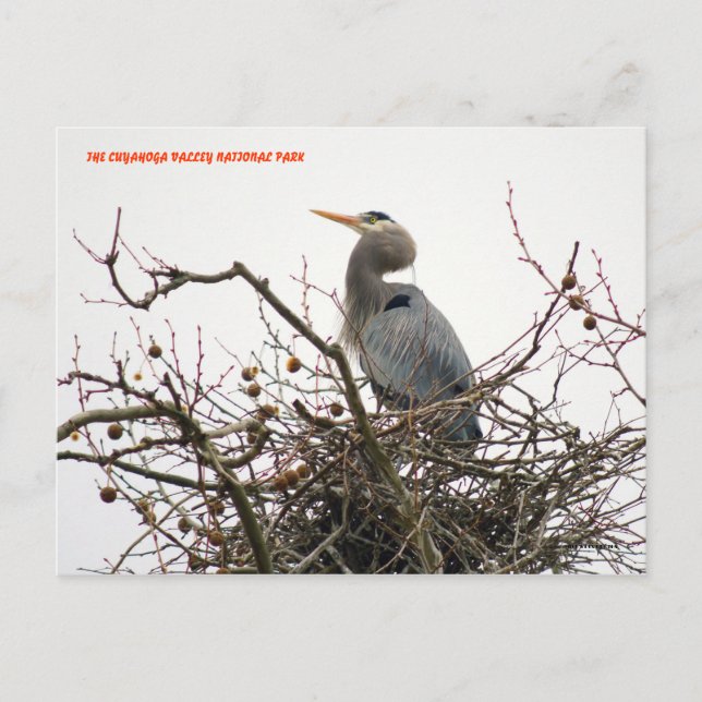 040111-70-APC POSTCARD (Front)