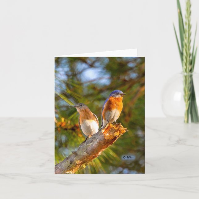 040 Bluebird Courtship Note Card 4.25x5.5 Matte (Front)
