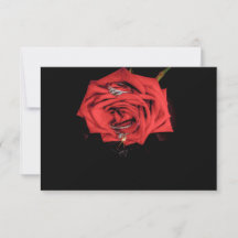 0410-Red Rose with Wedding Rings
