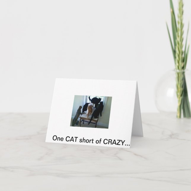 042310_09301[1], One CAT short of CRAZY.... Card (Front)