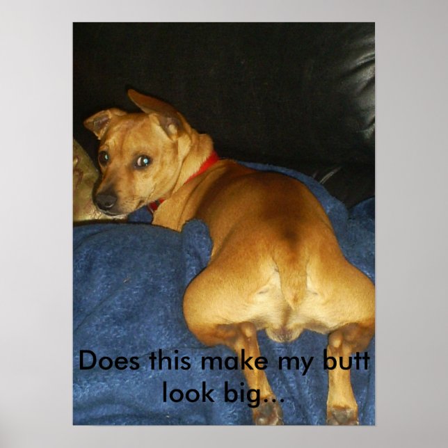 042, Does this make my butt look big... Poster (Front)